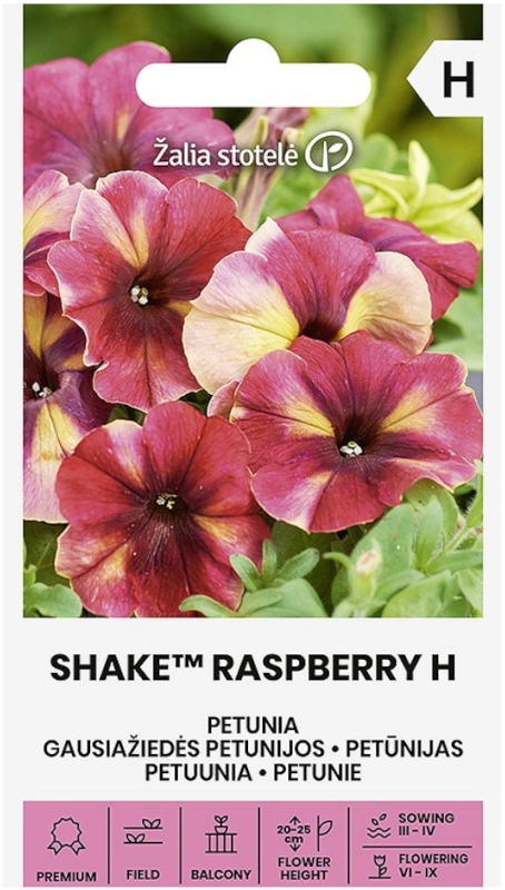 Petunia Shake™ Raspberry H odmiana o kwiaty o dekoracyjnym malinowym wybarwieniu nasiona 20szt. Žalia stotelė sklep rajogrodnika